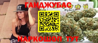 гидра Гатчина