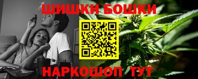 гидра Гатчина