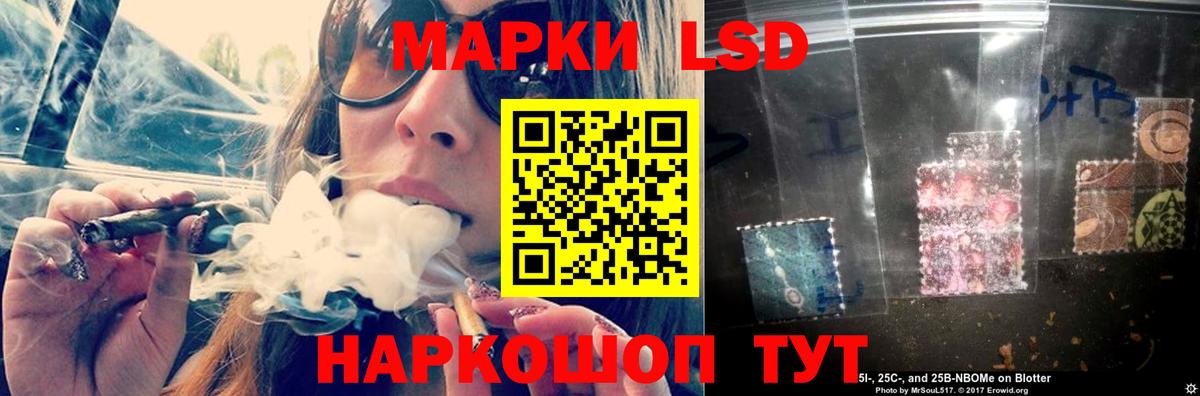 MEGA как войти  Лсд 25 экстази кислота  Вход с VPN  Зеленогорск 