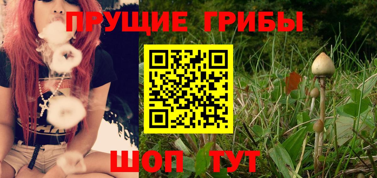Галлюциногенные грибы ЛСД Зеленогорск